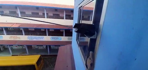 CBSE अंग्रेजी स्कूल में मधुमक्खियों ने लगाए छत्ते से परेशान थे छात्र-टीचिंग स्टाफ, रेस्क्यू कर ऐसे हटाया गया