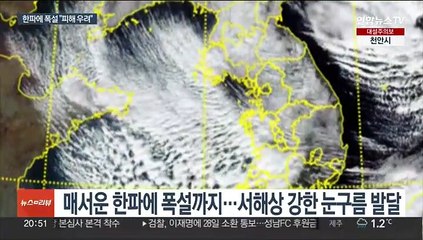 더 센 북극 한파 '서울 -14도'…충청·호남·제주 폭설