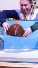 Bikini_Bottom_in_a_Fish_Tank__%F0%9F%8D%8D(480p)