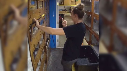 Elle calme un python réticulé... en lui faisant un doigt