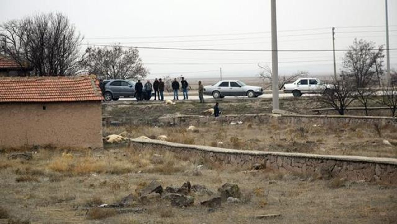 Konya'da merada otlayan 35 gebe koyun öldü! Ekipler inceleme başlattı