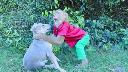 Don't Bite Me Like This, SokYaa Never Pity On Halaand