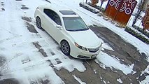 'Tis’ The Season' - Canadian woman keeps slipping over & over again on icy driveway
