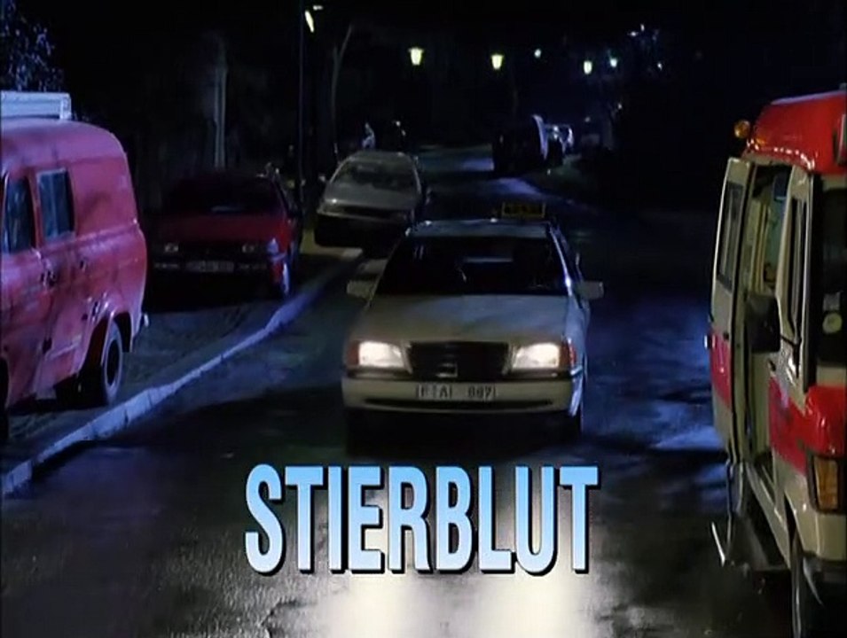 Die Kommissarin Staffel 2 Folge 12