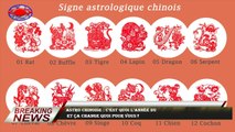 Astro chinoise : c’est quoi l’année du  et ça change quoi pour vous ?