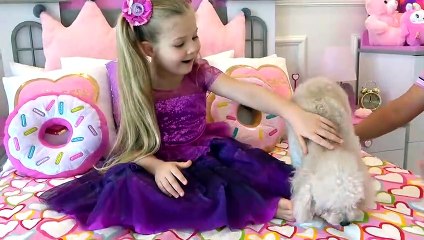 Diana lost her cat and chooses a new pet