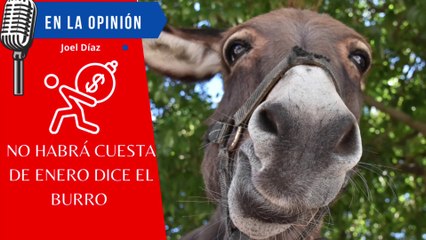 No Habrá Cuesta de Enero dice el Burro