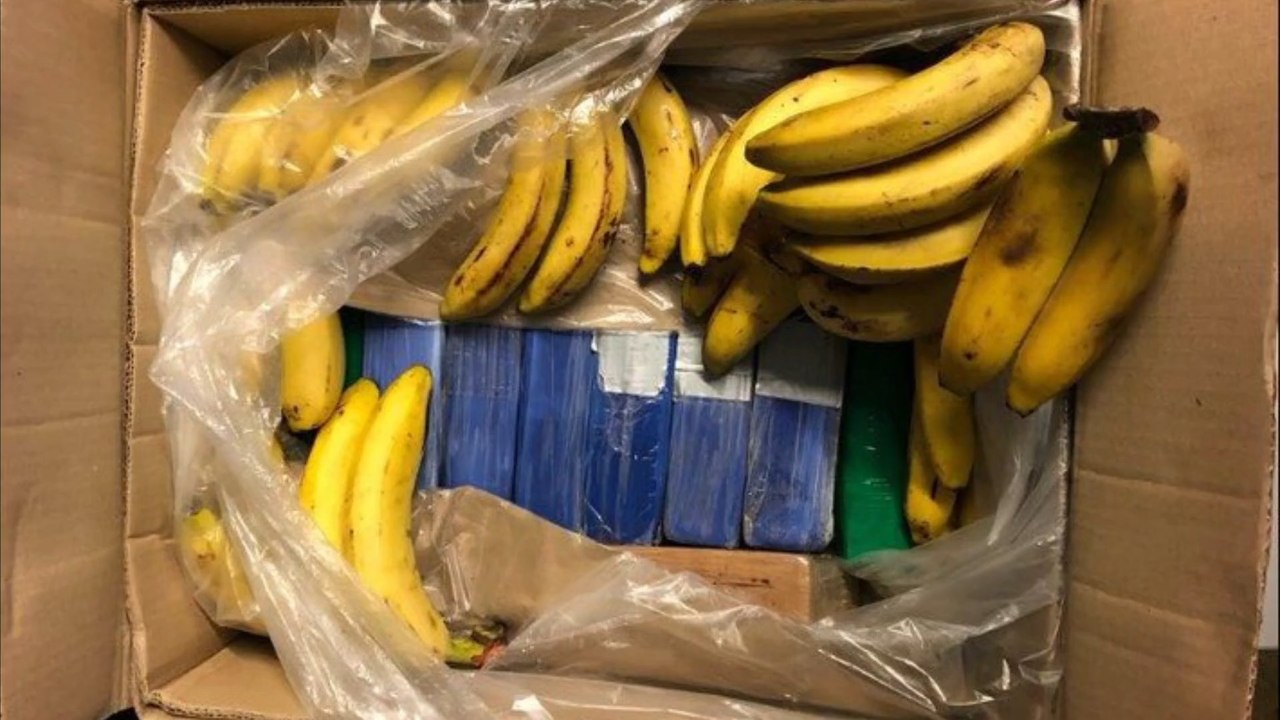 Tafel-Mitarbeiter finden kiloweise Kokain zwischen Bananen
