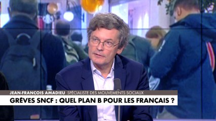 Jean-François Amadieu sur la grève SNCF : «On paye l'affaiblissement de nos organisations syndicales»