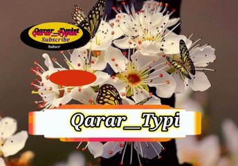 Jab loogo app si pochti khai | جب لوگ آپ سےپوچھتےھے | qarar__typist