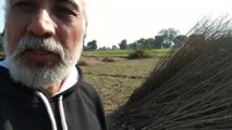 Vlog Village Life | Village Life  of India | Happy Farmer of India