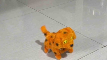 Curious Pomeranian has a BAD feeling about the new dog toy in her house