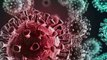 stock-footage-coronavirus-ncov-novel-coronavirus-concept-resposible-for-asian-flu-outbreak-and-coronaviruses