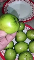 Apple Ber or Jujube Fruit   dailymotion new video
