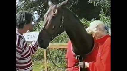 A Vision of Romsey 1998 part 5 of 6