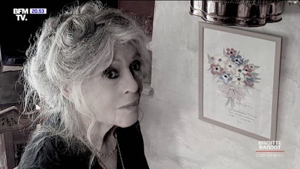 Brigitte Bardot: une femme de 88 ans au mode de vie sain et dépouillé
