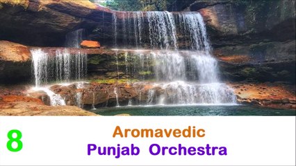 Musique instrumentale indienne relaxante