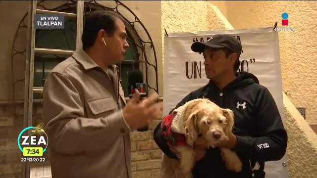Estrés en mascotas por cohetes en Navidad