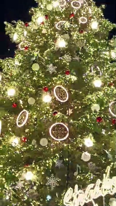 La scénographie d'illuminations du grand sapin de NOËL de  strasbourg DECEMBRE 2022