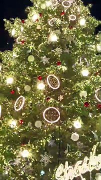 La scénographie d'illuminations du grand sapin de NOËL de strasbourg DECEMBRE 2022