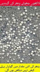 Millions of Stone Balls