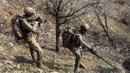 İçişleri Bakan Yardımcısı Ersoy, Cudi Dağı'nda terörist kalmadığını açıkladı