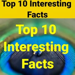Top 10 interesting facts || You must know || If you stay on earth