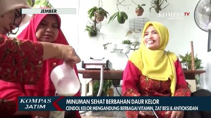 Ini Dia Minuman Cendol Kelor Nikmat Kaya Vitamin, Sudah Coba ?