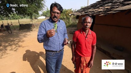 Diabetes and Asthama treatment with herbs | Tribal Knowledge | जड़ी बूटी से डायबिटिज और दमा का इलाज