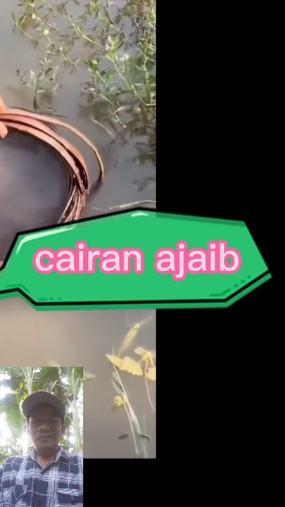 Cairan obat ikan
