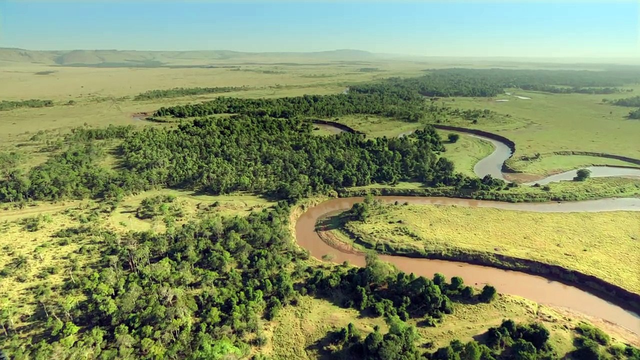 Félins Bande-annonce (RU)