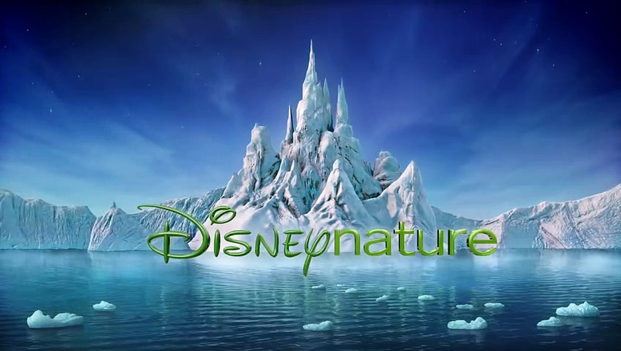 Félins Bande-annonce (EN)