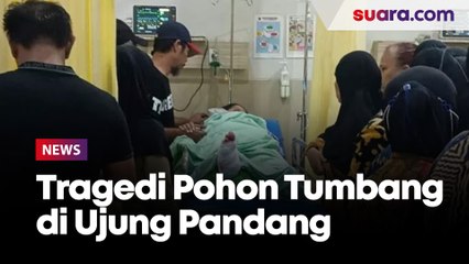 Sejumlah Warga jadi Korban, Tragedi Pohon Tumbang Terjadi di Ujung Pandang