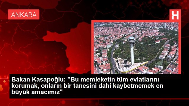 Bakan Kasapoğlu: Bu memleketin tüm evlatlarını korumak, onların bir tanesini dahi kaybetmemek en büyük amacımız