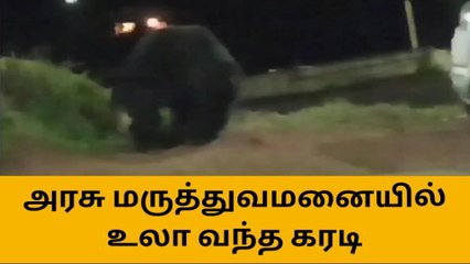 அரசு மருத்துவமனைக்குள் புகுந்த கரடி! அலறிய நோயாளிகள்!