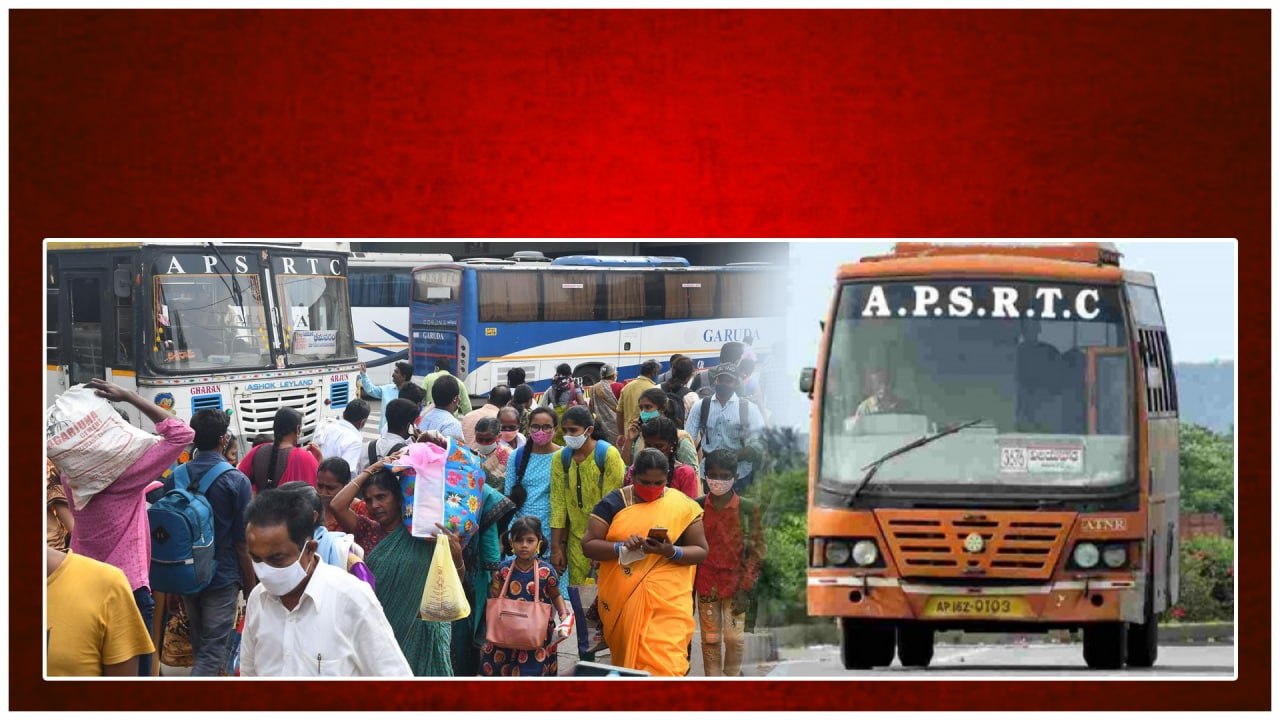 AP ప్రయాణికులకు గుడ్‌న్యూస్ సంక్రాంతి పండక్కి 6400 ప్రత్యేక బస్సులు *Andhrapradesh | Telugu OneIndia