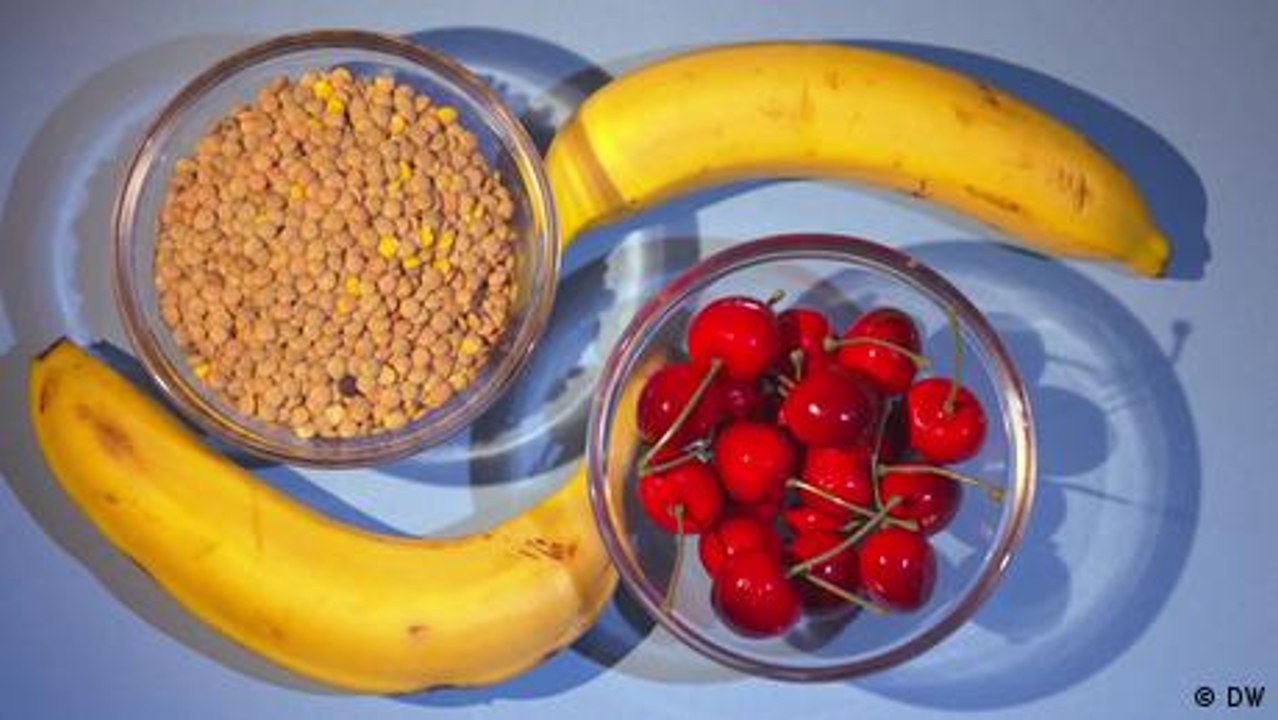 Foods for a good night’s sleep