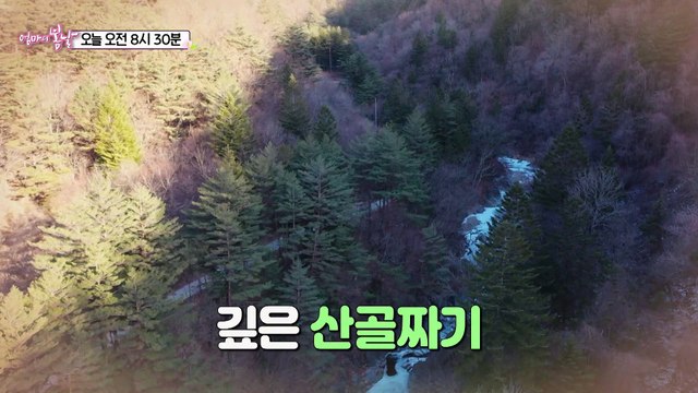 오지 산골 금녀씨의 여행_엄마의 봄날 380회 예고 TV CHOSUN 221225 방송