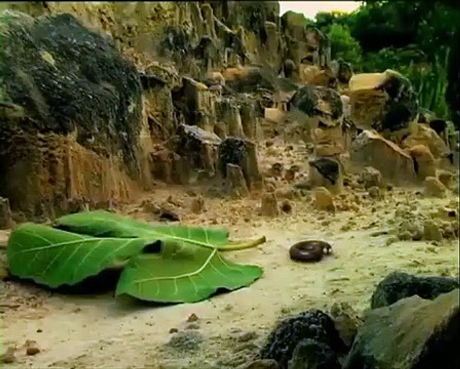 Minuscule - Se4 - Ep01 HD Watch HD Deutsch