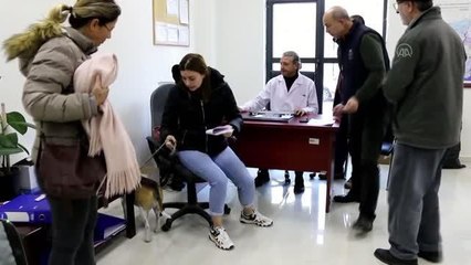 15 bin ev hayvanı kimliklendirilerek kayıt altına alındı