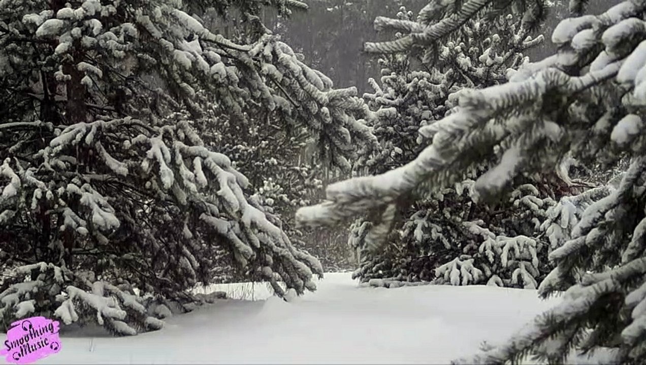 1 Hours of Relaxing Sleep Music • Soft Piano Music, Sleeping Music, Sweet Dreams