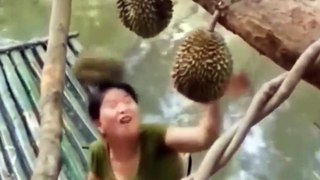 Try Not To Laugh Funny Videos - Funny Moments Of The Year Compilation 