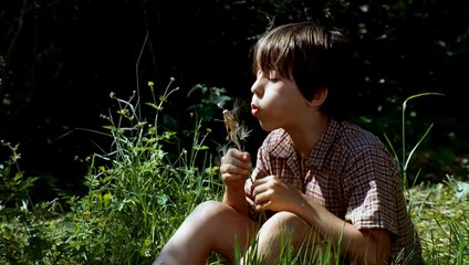 La clé des champs Bande-annonce (DE)