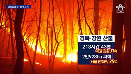 아픔에서 희망으로…명동성당 앞 ‘까만 트리’