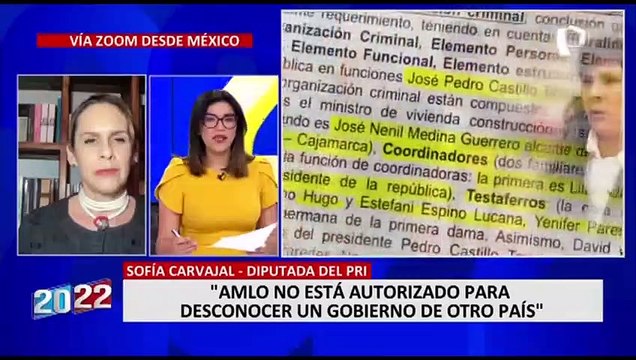 Sofía Carvajal: AMLO utiliza sus conferencias mañaneras para desinformar y manipular