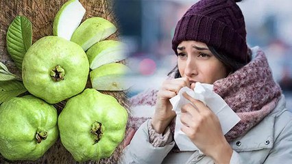 खांसी में अमरूद खाना चाहिए या नहीं | खांसी में अमरूद खाने से होता है नुकसान | Boldsky *Health