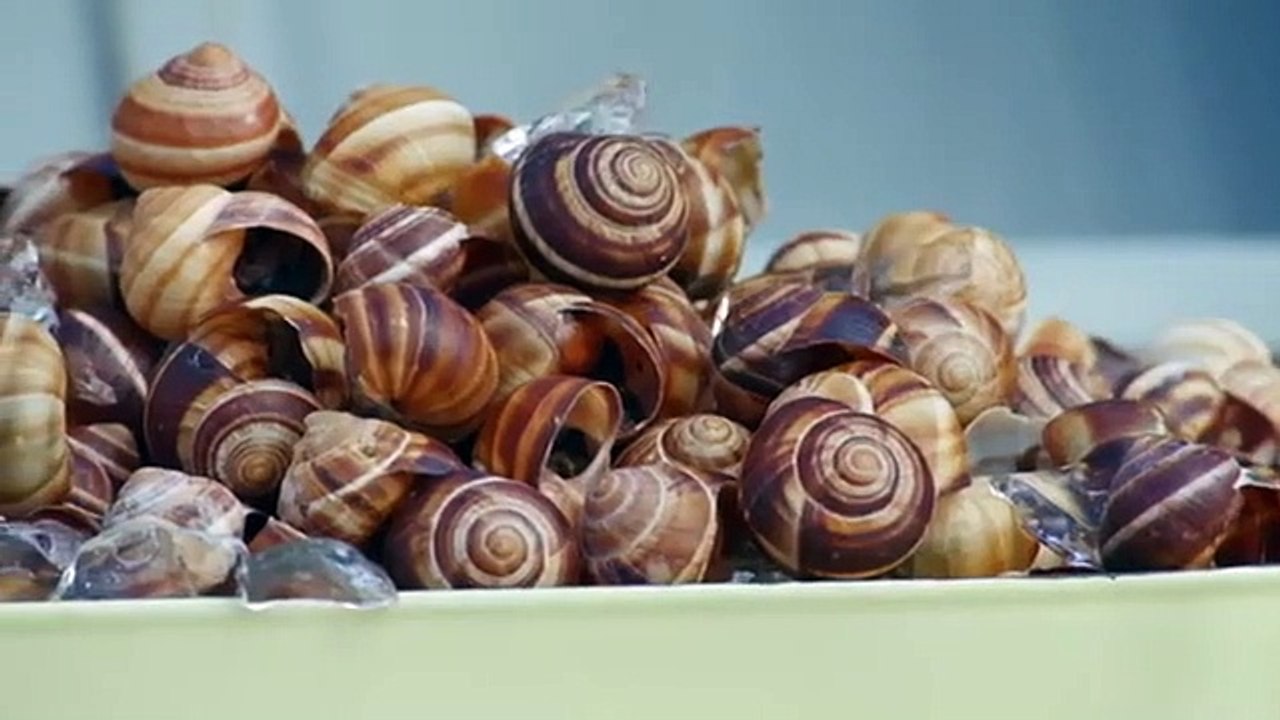 Fire Masters - Se3 - Ep11 HD Watch HD Deutsch