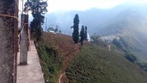Winter's Scenic Beauty Of Tea Gardens