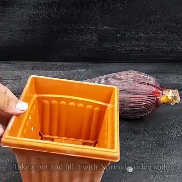 Banana trees are made from banana flowers