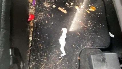 BEWARE! This car-detailing video is riveting beyond compare